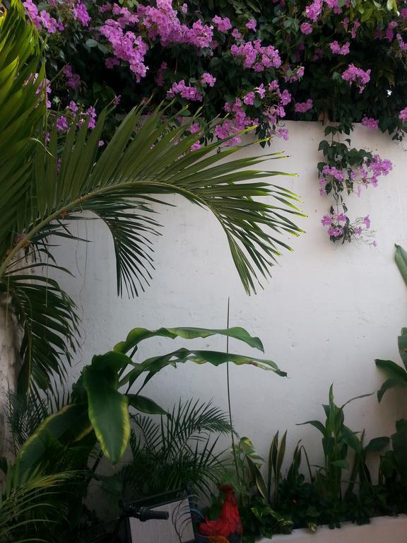 Casa La Sierpe By Hmc Cartagena Exterior foto